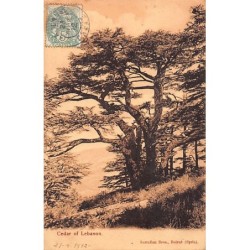 Rare collectable postcards of LEBANON Belgique België. Vintage Postcards of LEBANON Belgique België