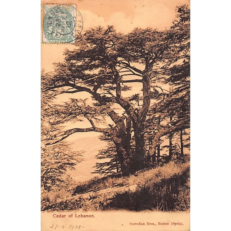 Rare collectable postcards of LEBANON Belgique België. Vintage Postcards of LEBANON Belgique België