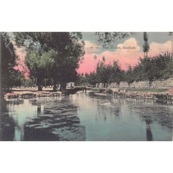 Rare collectable postcards of LEBANON Belgique België. Vintage Postcards of LEBANON Belgique België