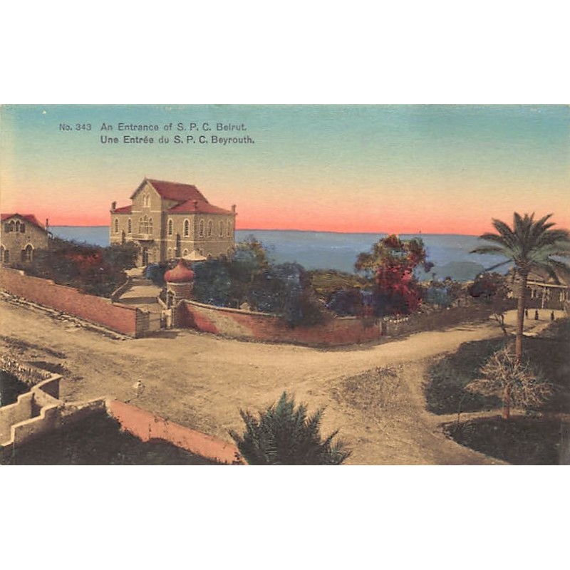 Rare collectable postcards of LEBANON Belgique België. Vintage Postcards of LEBANON Belgique België