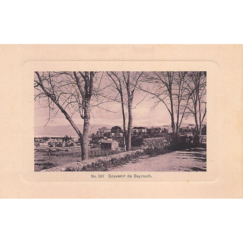 Rare collectable postcards of LEBANON Belgique België. Vintage Postcards of LEBANON Belgique België