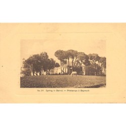 Rare collectable postcards of LEBANON Belgique België. Vintage Postcards of LEBANON Belgique België