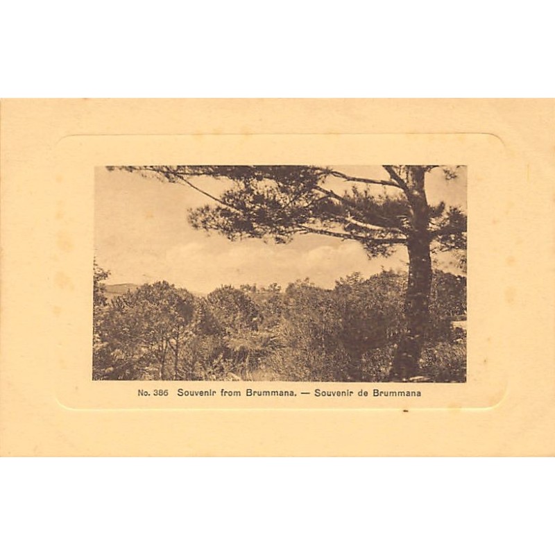 Rare collectable postcards of LEBANON Belgique België. Vintage Postcards of LEBANON Belgique België