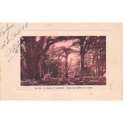 Rare collectable postcards of LEBANON Belgique België. Vintage Postcards of LEBANON Belgique België