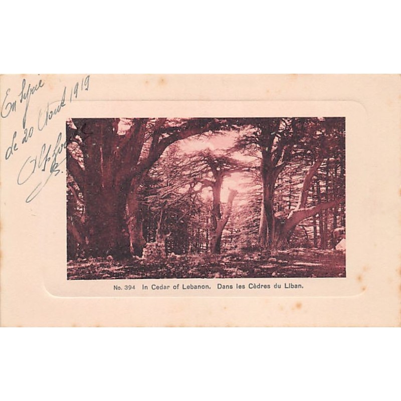 Rare collectable postcards of LEBANON Belgique België. Vintage Postcards of LEBANON Belgique België