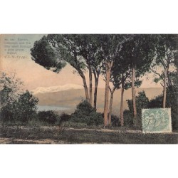 Rare collectable postcards of LEBANON Belgique België. Vintage Postcards of LEBANON Belgique België