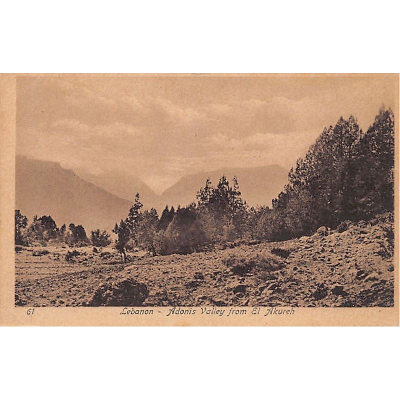 Rare collectable postcards of LEBANON Belgique België. Vintage Postcards of LEBANON Belgique België