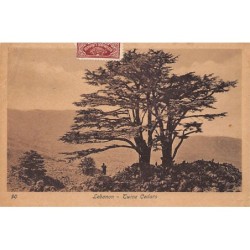 Rare collectable postcards of LEBANON Belgique België. Vintage Postcards of LEBANON Belgique België