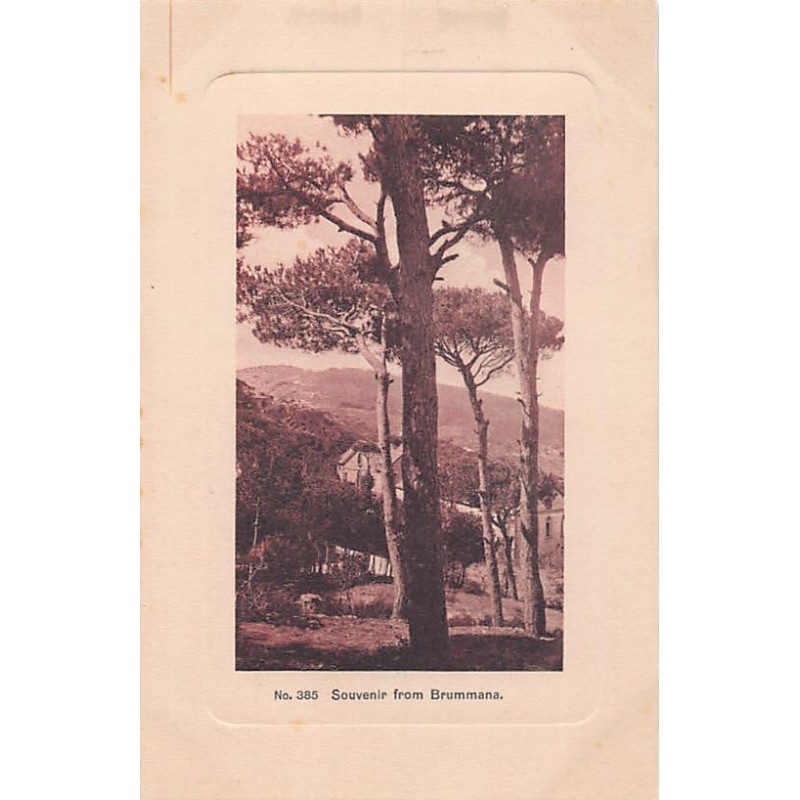 Rare collectable postcards of LEBANON Belgique België. Vintage Postcards of LEBANON Belgique België
