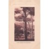 Rare collectable postcards of LEBANON Belgique België. Vintage Postcards of LEBANON Belgique België