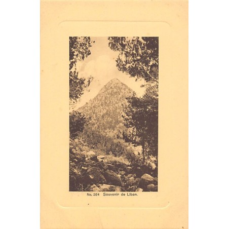 Rare collectable postcards of LEBANON Belgique België. Vintage Postcards of LEBANON Belgique België