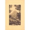 Rare collectable postcards of LEBANON Belgique België. Vintage Postcards of LEBANON Belgique België