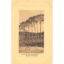 Rare collectable postcards of LEBANON Belgique België. Vintage Postcards of LEBANON Belgique België