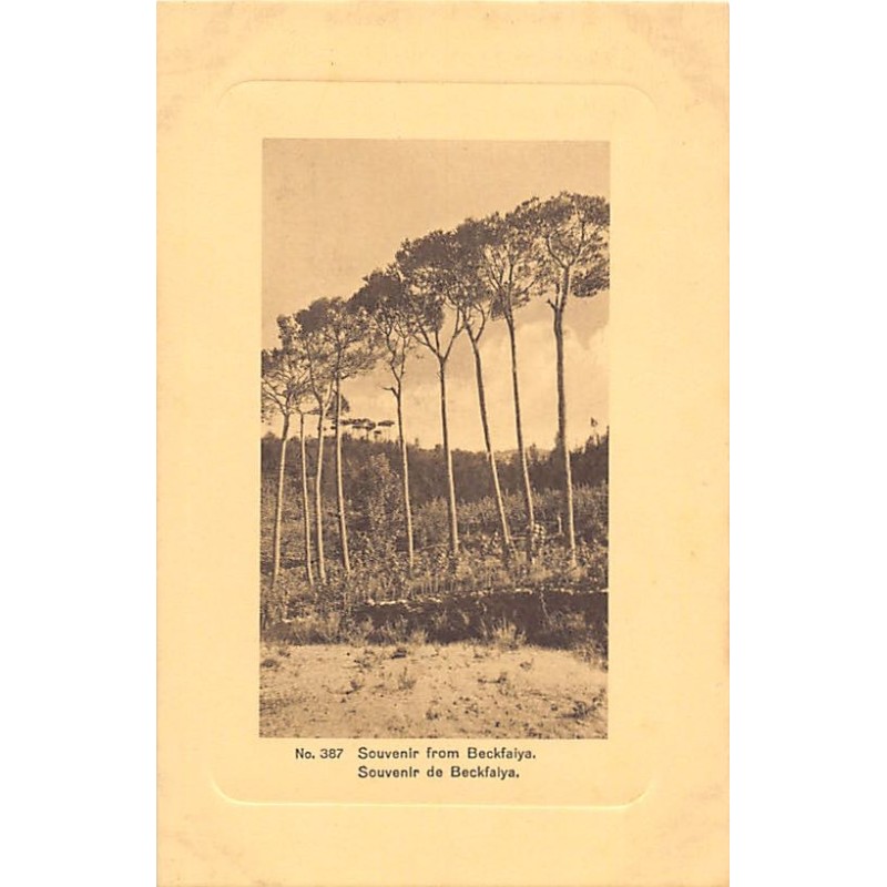 Rare collectable postcards of LEBANON Belgique België. Vintage Postcards of LEBANON Belgique België