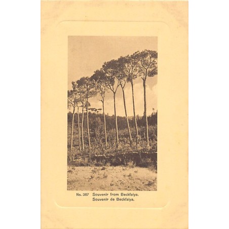 Rare collectable postcards of LEBANON Belgique België. Vintage Postcards of LEBANON Belgique België