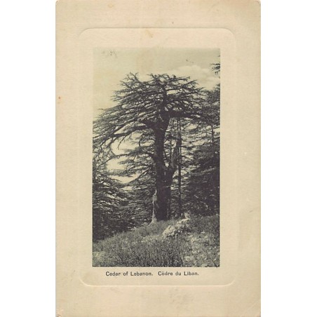 Rare collectable postcards of LEBANON Belgique België. Vintage Postcards of LEBANON Belgique België