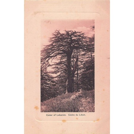 Rare collectable postcards of LEBANON Belgique België. Vintage Postcards of LEBANON Belgique België