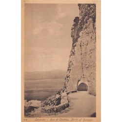 Rare collectable postcards of LEBANON Belgique België. Vintage Postcards of LEBANON Belgique België