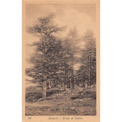 Rare collectable postcards of LEBANON Belgique België. Vintage Postcards of LEBANON Belgique België
