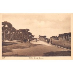 Rare collectable postcards of LEBANON Belgique België. Vintage Postcards of LEBANON Belgique België