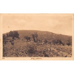 Rare collectable postcards of LEBANON Belgique België. Vintage Postcards of LEBANON Belgique België