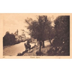 Rare collectable postcards of LEBANON Belgique België. Vintage Postcards of LEBANON Belgique België