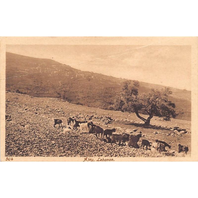 Rare collectable postcards of LEBANON Belgique België. Vintage Postcards of LEBANON Belgique België