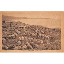 Rare collectable postcards of LEBANON Belgique België. Vintage Postcards of LEBANON Belgique België