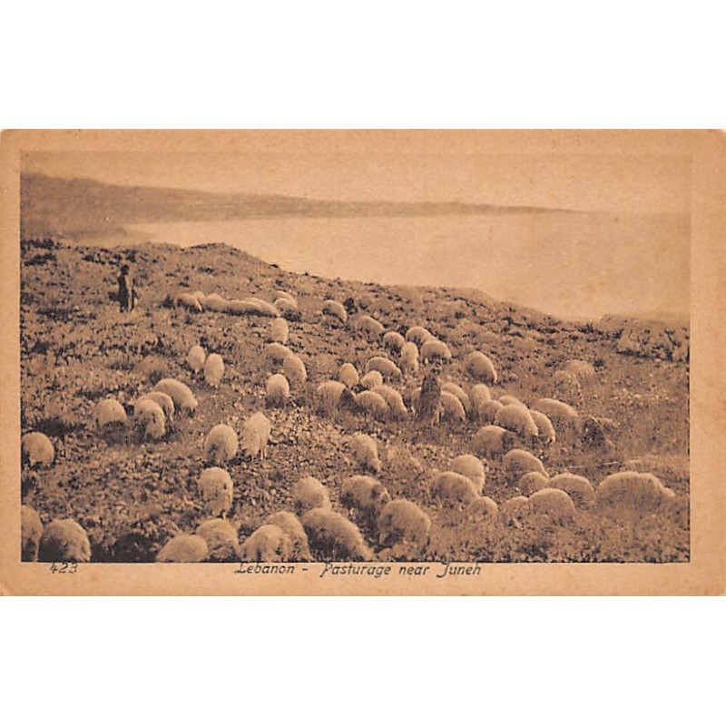 Rare collectable postcards of LEBANON Belgique België. Vintage Postcards of LEBANON Belgique België