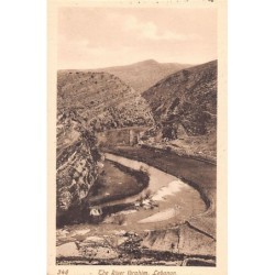 Rare collectable postcards of LEBANON Belgique België. Vintage Postcards of LEBANON Belgique België