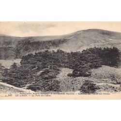 Rare collectable postcards of LEBANON Belgique België. Vintage Postcards of LEBANON Belgique België