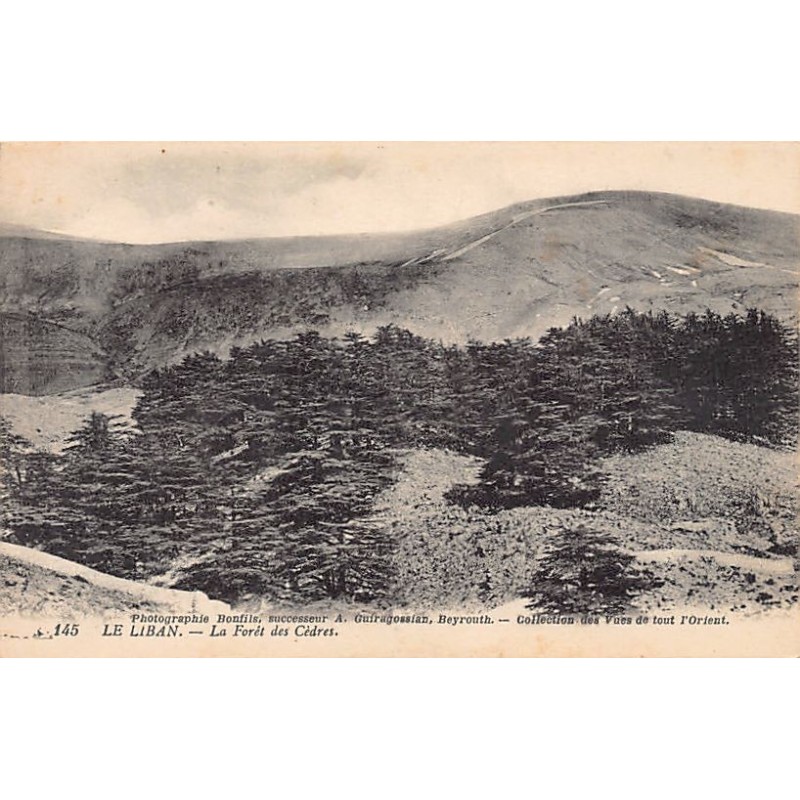 Rare collectable postcards of LEBANON Belgique België. Vintage Postcards of LEBANON Belgique België