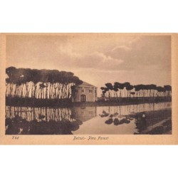 Rare collectable postcards of LEBANON Belgique België. Vintage Postcards of LEBANON Belgique België