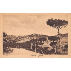 Rare collectable postcards of LEBANON Belgique België. Vintage Postcards of LEBANON Belgique België