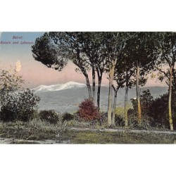 Rare collectable postcards of LEBANON Belgique België. Vintage Postcards of LEBANON Belgique België