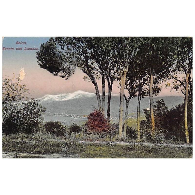 Rare collectable postcards of LEBANON Belgique België. Vintage Postcards of LEBANON Belgique België