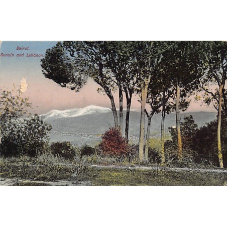 Rare collectable postcards of LEBANON Belgique België. Vintage Postcards of LEBANON Belgique België