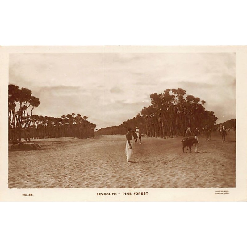 Rare collectable postcards of LEBANON Belgique België. Vintage Postcards of LEBANON Belgique België