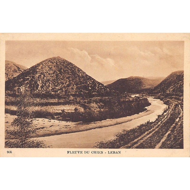 Rare collectable postcards of LEBANON Belgique België. Vintage Postcards of LEBANON Belgique België