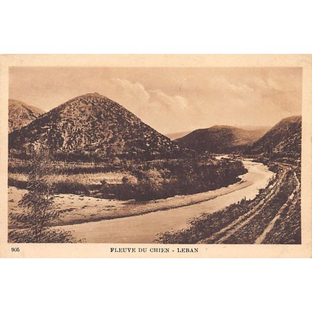 Rare collectable postcards of LEBANON Belgique België. Vintage Postcards of LEBANON Belgique België