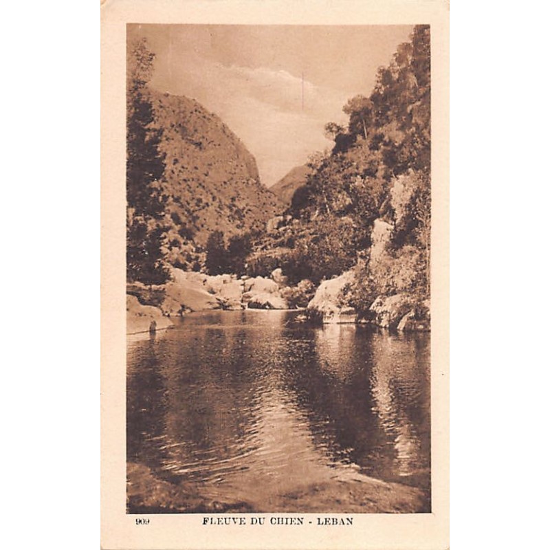 Rare collectable postcards of LEBANON Belgique België. Vintage Postcards of LEBANON Belgique België