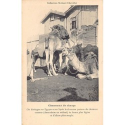 Rare collectable postcards of LEBANON Belgique België. Vintage Postcards of LEBANON Belgique België