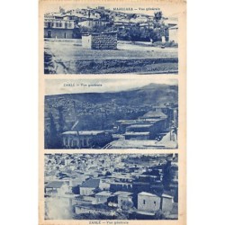 Rare collectable postcards of LEBANON Belgique België. Vintage Postcards of LEBANON Belgique België