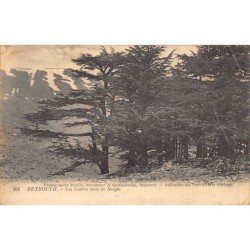 Rare collectable postcards of LEBANON Belgique België. Vintage Postcards of LEBANON Belgique België