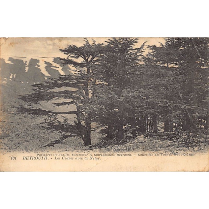 Rare collectable postcards of LEBANON Belgique België. Vintage Postcards of LEBANON Belgique België