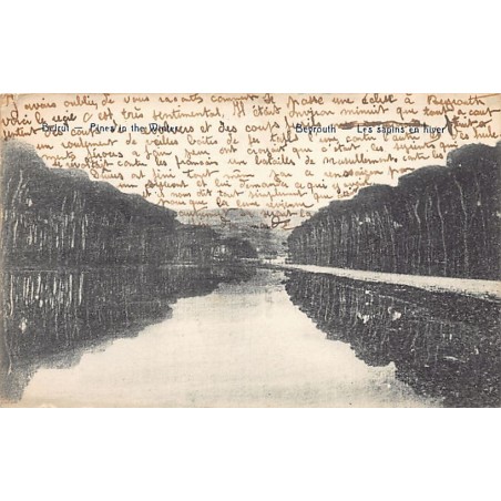 Rare collectable postcards of LEBANON Belgique België. Vintage Postcards of LEBANON Belgique België