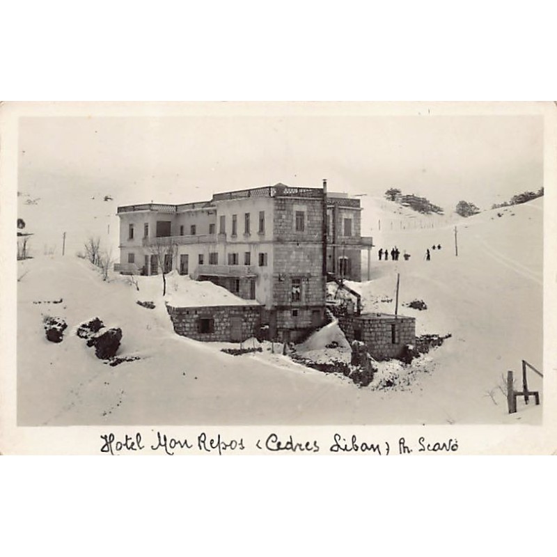 Rare collectable postcards of LEBANON Belgique België. Vintage Postcards of LEBANON Belgique België