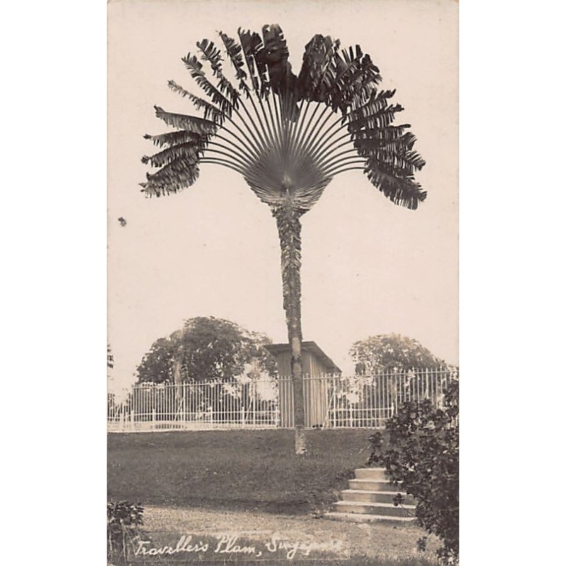 Rare collectable postcards of SINGAPORE Belgique België. Vintage Postcards of SINGAPORE Belgique België