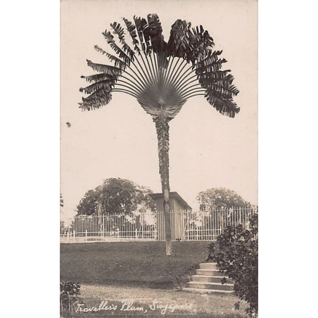 Rare collectable postcards of SINGAPORE Belgique België. Vintage Postcards of SINGAPORE Belgique België