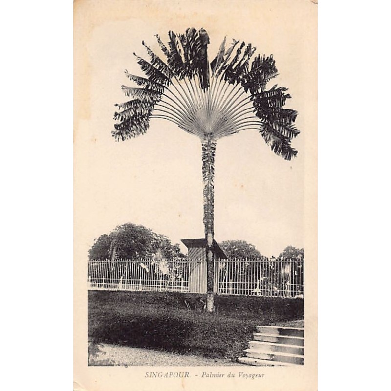 Rare collectable postcards of SINGAPORE Belgique België. Vintage Postcards of SINGAPORE Belgique België